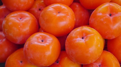 ʩPPPĿ