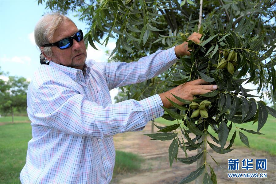 usafarmer