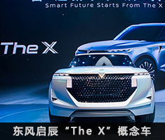 ȫһThe X