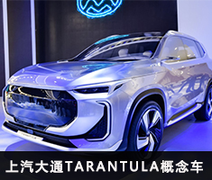 ͨTARANTULA룩