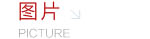 bet36365ֳǹƵ